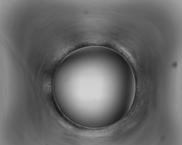 X0000090740017200707271434