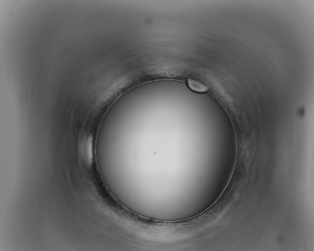 X0000090740020200707271433