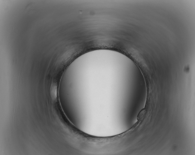 X0000090740021200707271433