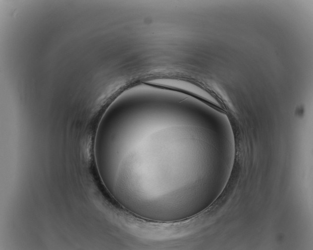 X0000090740023200707271433