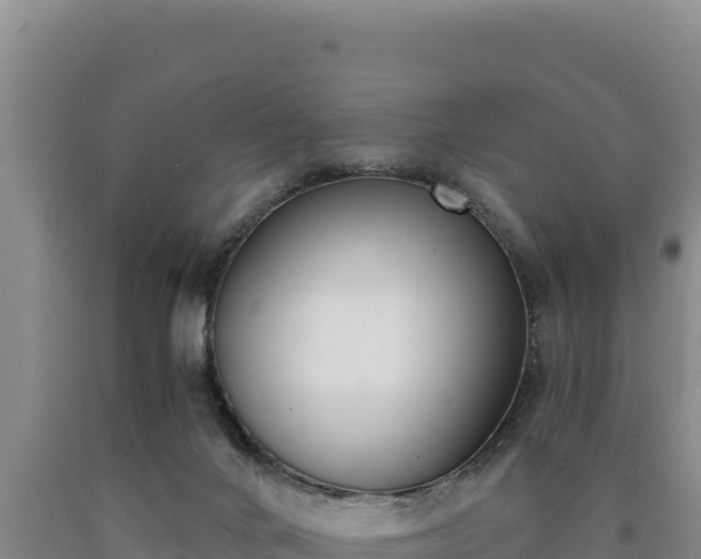 X0000090740024200707271433