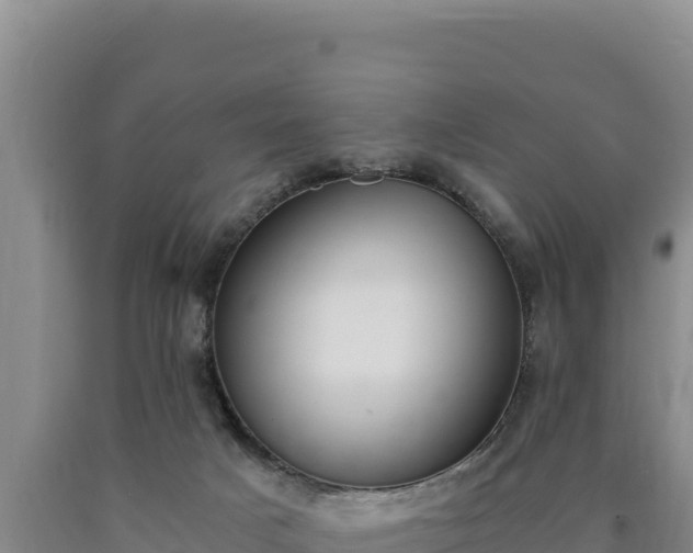 X0000090740025200707271433