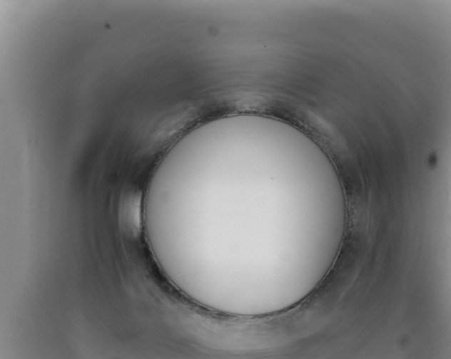 X0000090740028200707271433