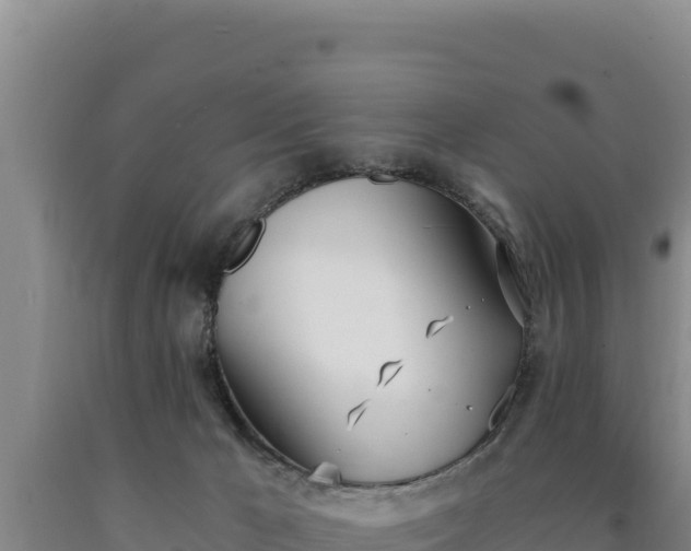 X0000090740029200707271433