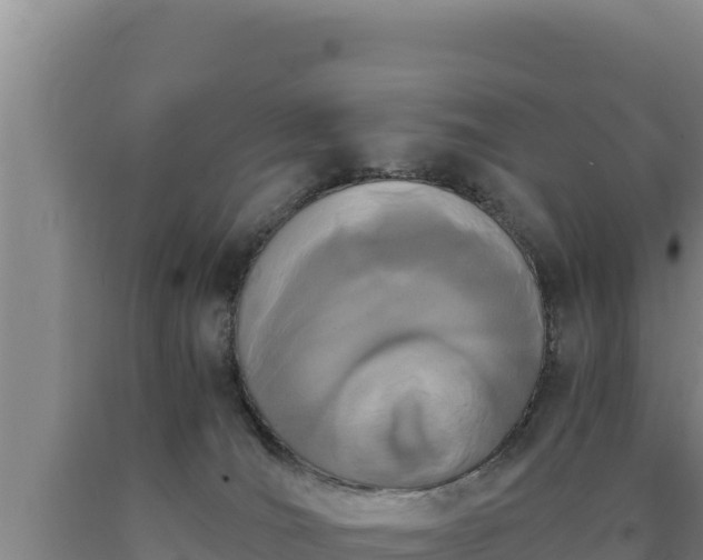 X0000090740036200707271433