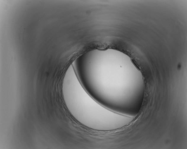 X0000090740037200707271433