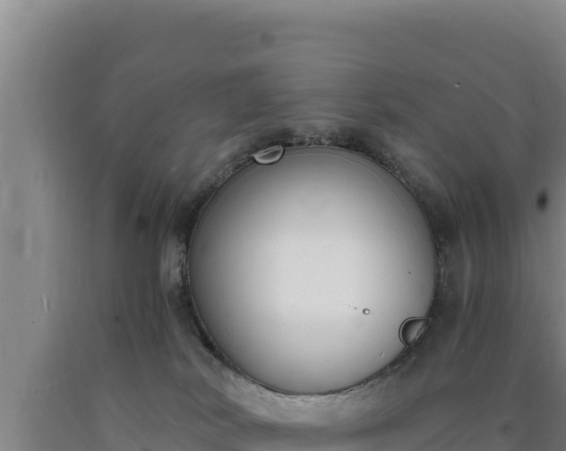 X0000090740038200707271433