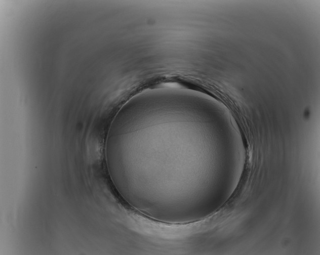 X0000090740039200707271433