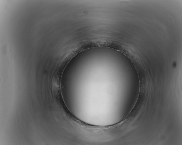 X0000090740040200707271433