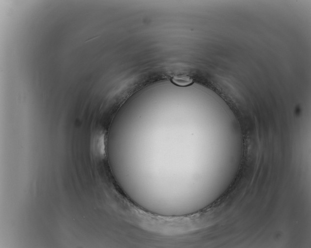 X0000090740042200707271433