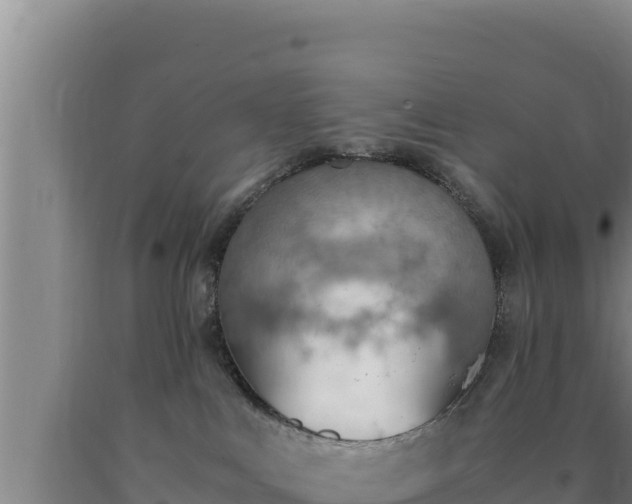 X0000090740043200707271433