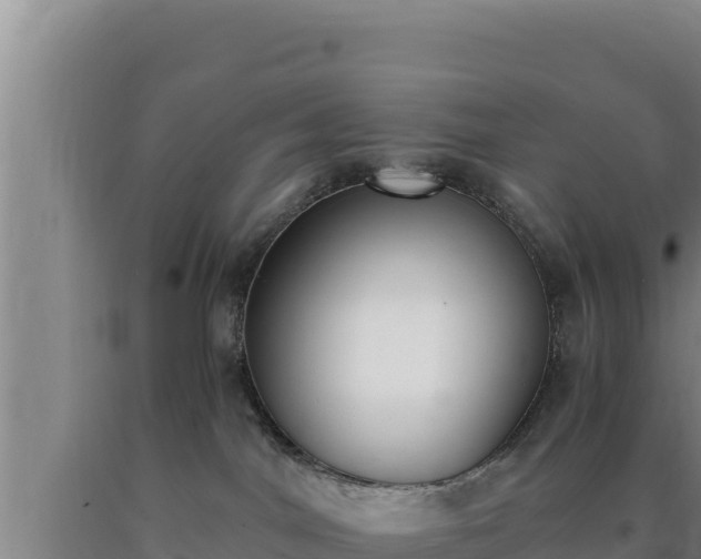 X0000090740044200707271433