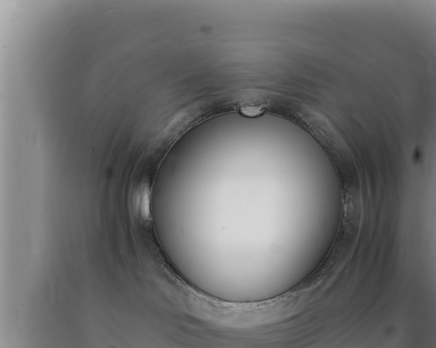 X0000090740046200707271433