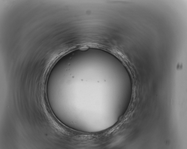 X0000090740049200707271432