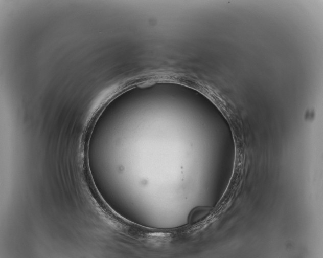 X0000090740053200707271432