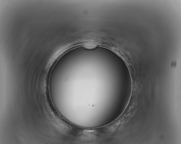 X0000090740055200707271432