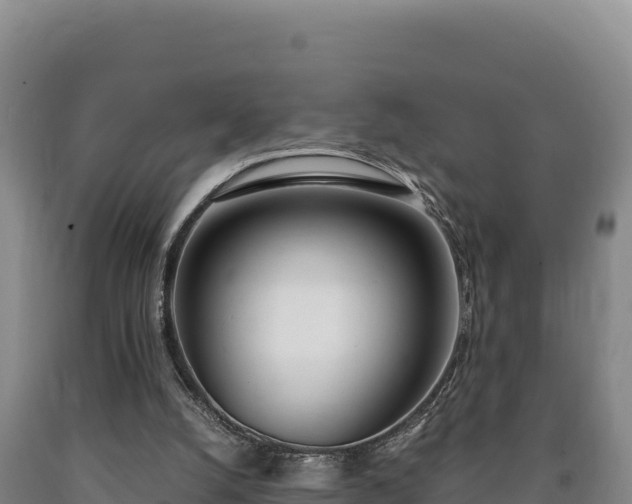 X0000090740056200707271432