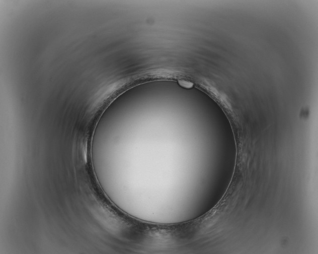 X0000090740062200707271432