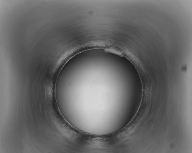 X0000090740064200707271432