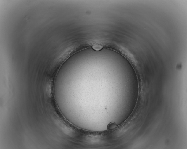 X0000090740065200707271432