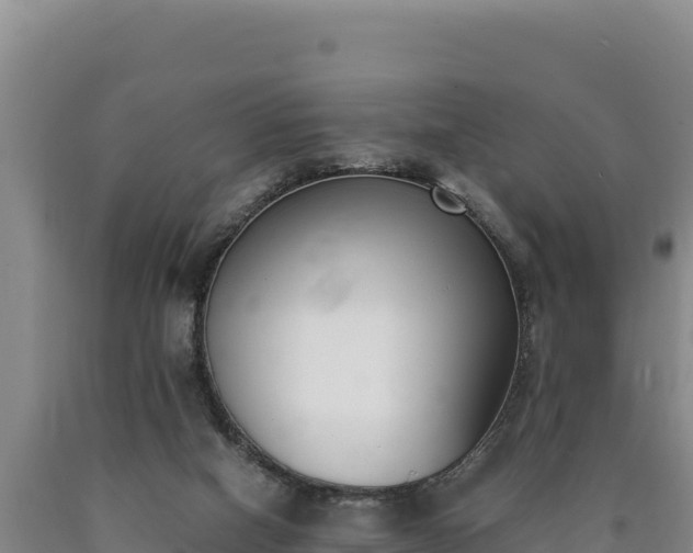 X0000090740066200707271432