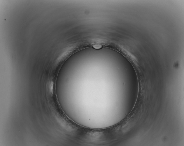 X0000090740067200707271432