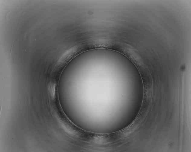 X0000090740070200707271432