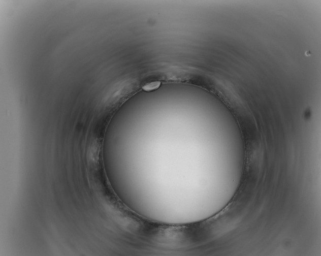 X0000090740078200707271433