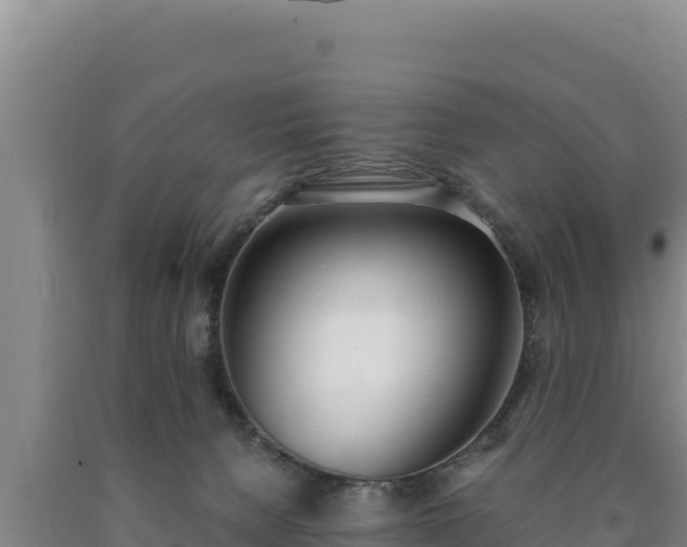 X0000090740080200707271433