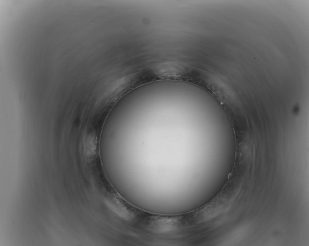 X0000090740081200707271433