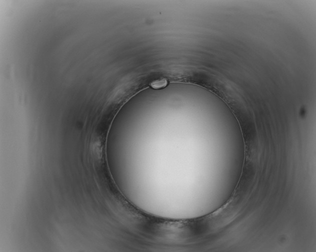 X0000090740086200707271433