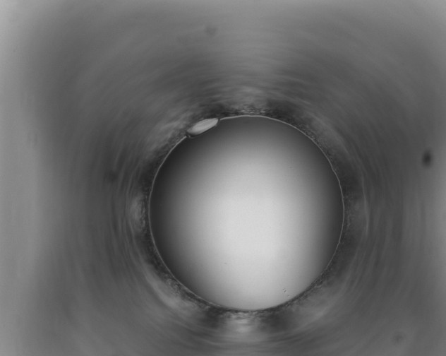 X0000090740088200707271433