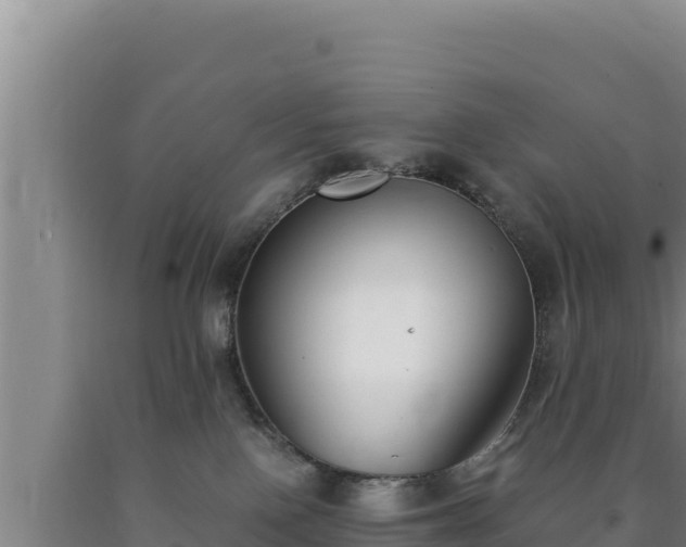 X0000090740090200707271433