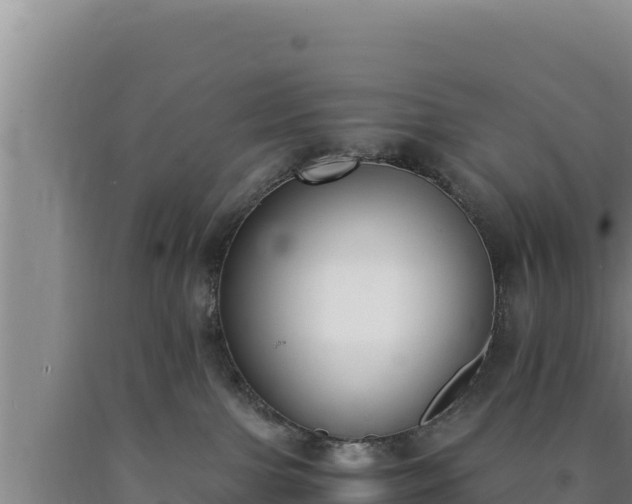 X0000090740091200707271433