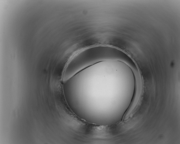 X0000090740092200707271433