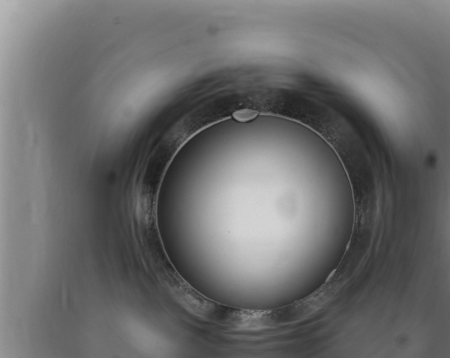 X0000090740093200707271433