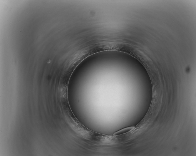 X0000090740096200707271433