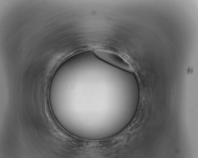 X0000090740097200707271432