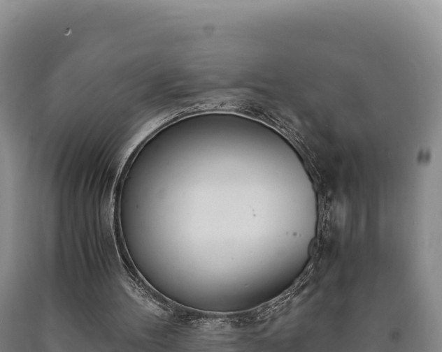 X0000090740100200707271432