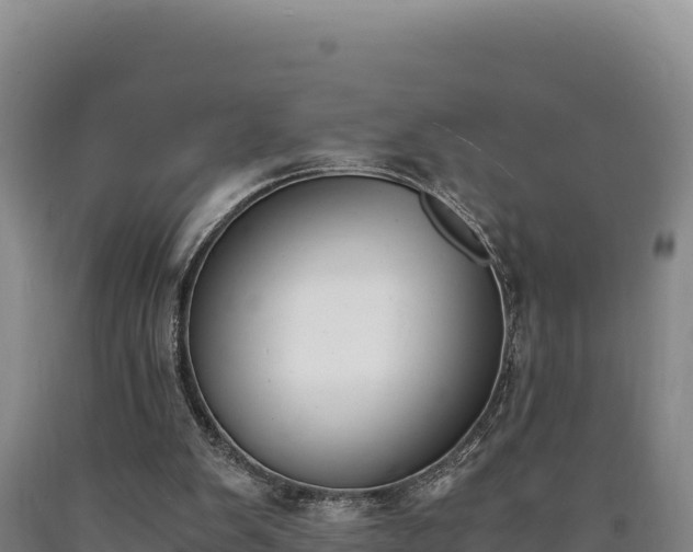 X0000090740103200707271432