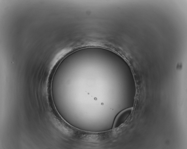 X0000090740104200707271432