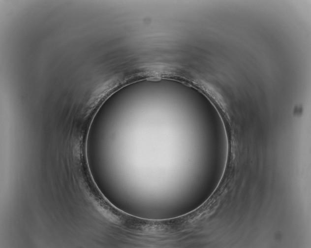 X0000090740105200707271432