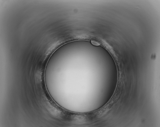 X0000090740106200707271432