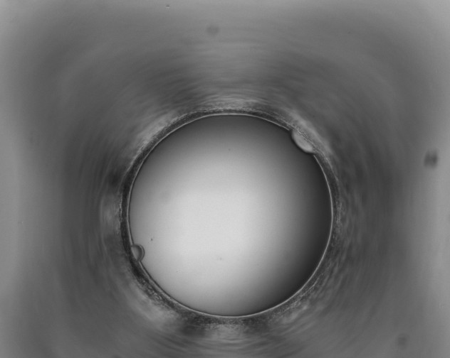 X0000090740107200707271432