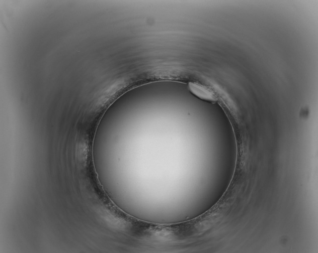 X0000090740113200707271432