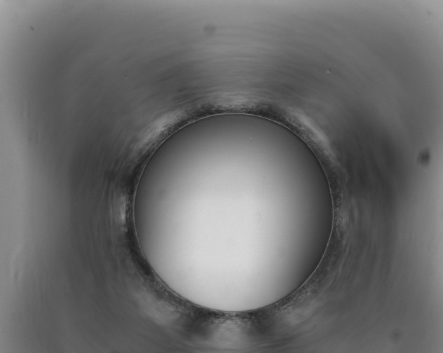 X0000090740115200707271432