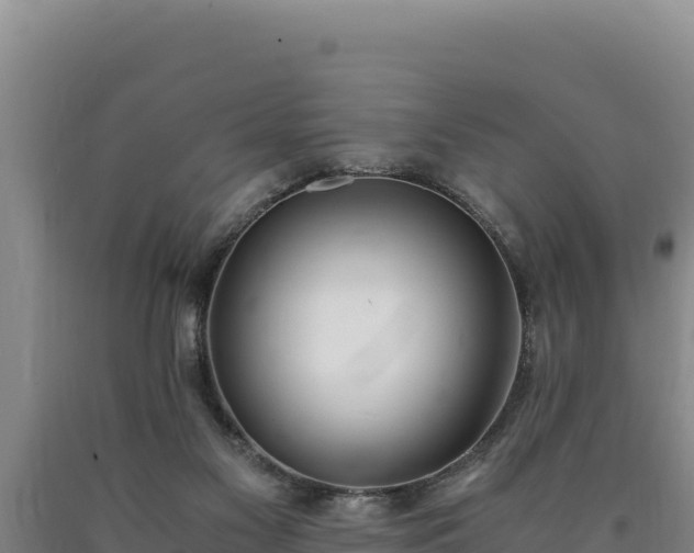 X0000090740117200707271432