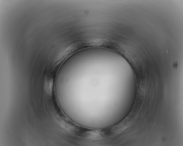 X0000090740118200707271432