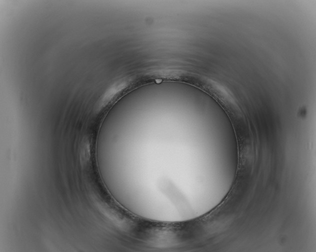 X0000090740120200707271432