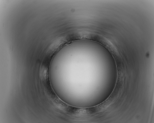 X0000090740123200707271432